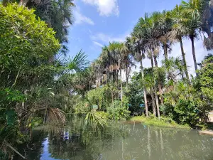 Parque Ecológico Caño Arietes