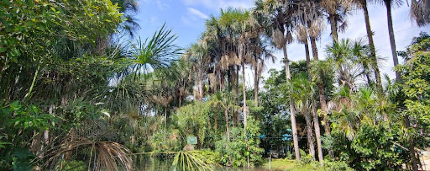Parque Ecológico Caño Arietes