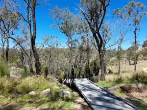 Coomba Falls