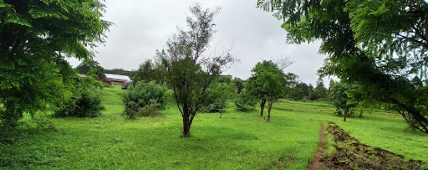 Sakdbari national park