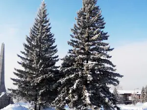 Площадь Вечного огня