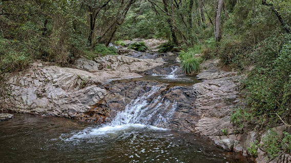 Gualba Montseny