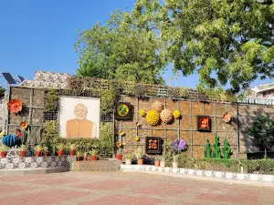 Cactus Garden