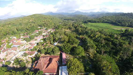 Tanjung