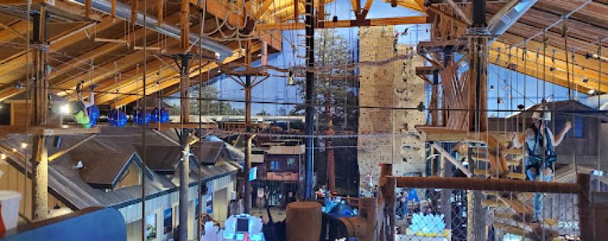Langer's Entertainment Center