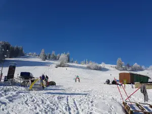Téléski des Loges