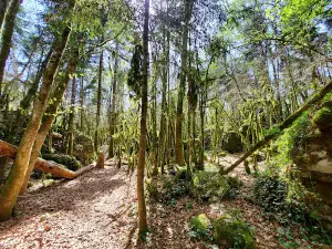 Sentier Nature