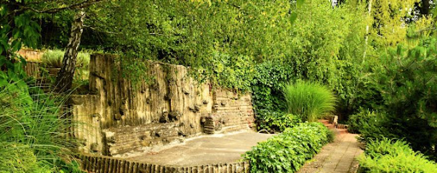Arboretum Borotín