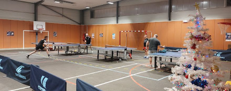 PINS JUSTARET VILLATE TENNIS DE TABLE