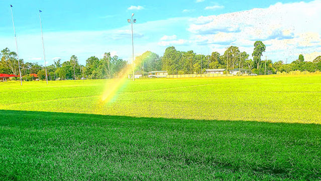 Oakey Bears Rugby League