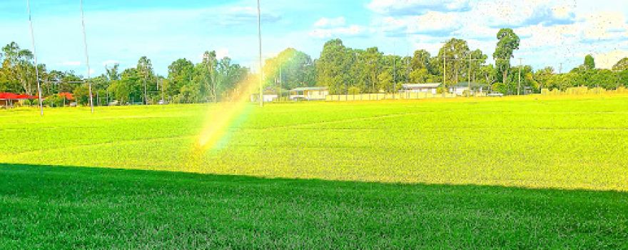 Oakey Bears Rugby League