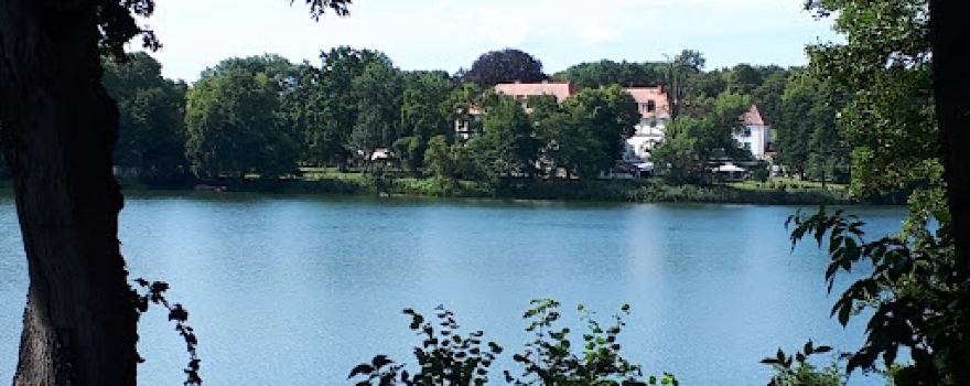 Haussee