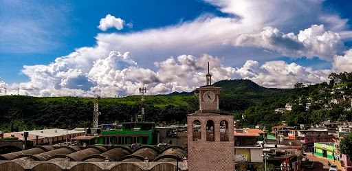 Central Villa de Colorines Garden