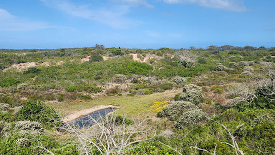 Nelson Mandela University Nature Reserve