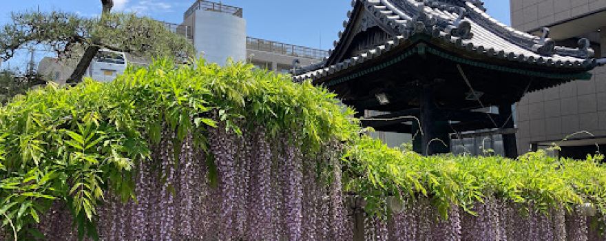 Jifukuji
