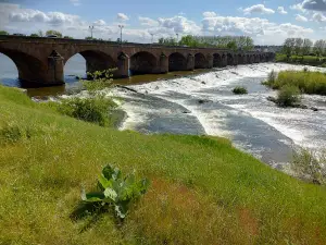 Allier River