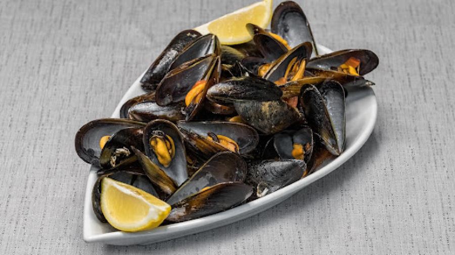 Ristorante Pizzeria Neccio