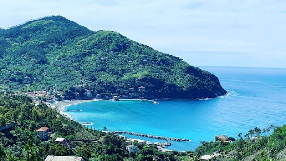 Camping San Michele