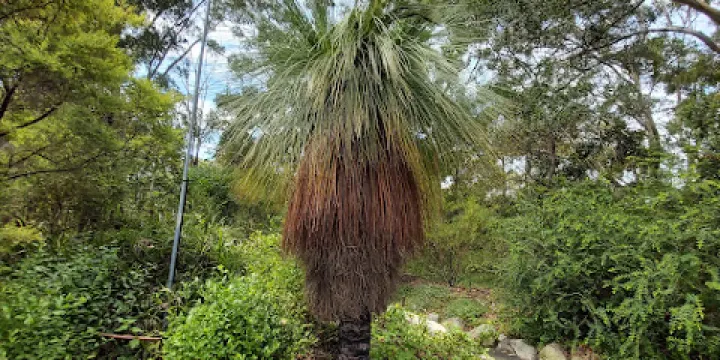 Joseph Banks Native Plants Reserve