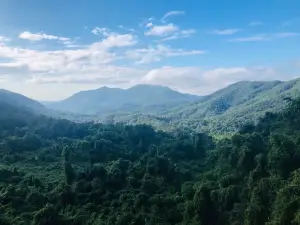 Bawangling National Forest Park Baishitan Scenic Area