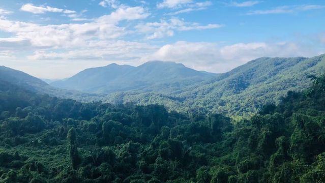 Bawangling National Forest Park Baishitan Scenic Area