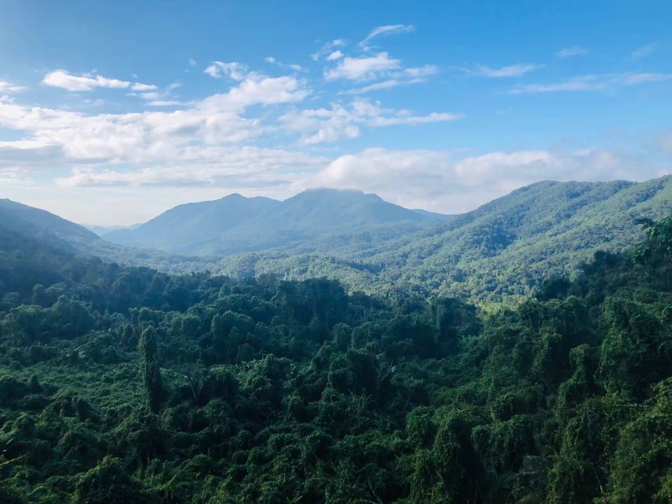 Bawangling National Forest Park Baishitan Scenic Area