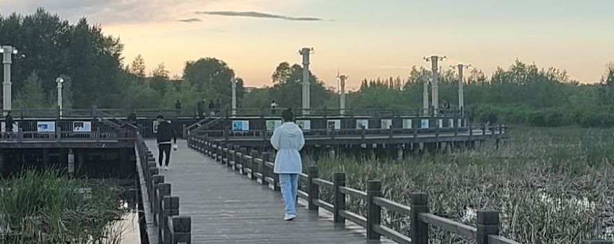 Taihu National Wetland Park