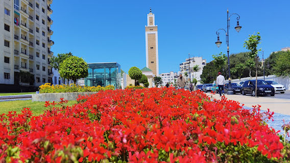 Mosque Mohammed V