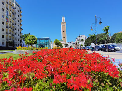 Mosque Mohammed V