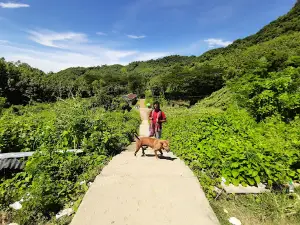 Shohosrodhara waterfall-2 (সহস্রধারা - ২)