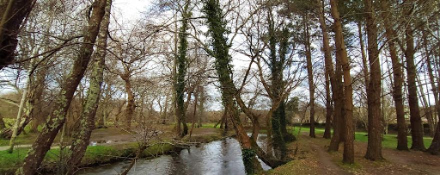 O Bosque Do Añón
