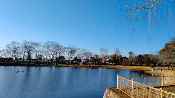 Kensei Park