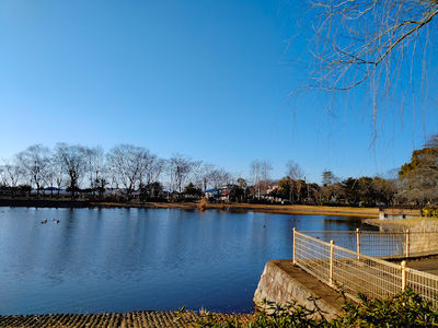 Kensei Park