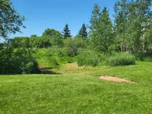 Truro - Bible Hill Off-Leash Dog Park
