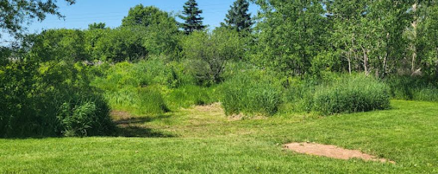 Truro - Bible Hill Off-Leash Dog Park