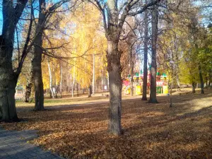 Istok Dona