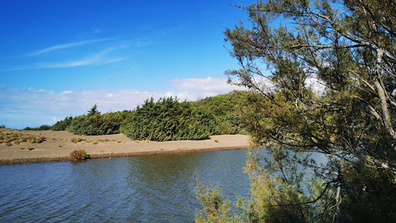 Marina Di Castagneto Carducci - Doggy Beach