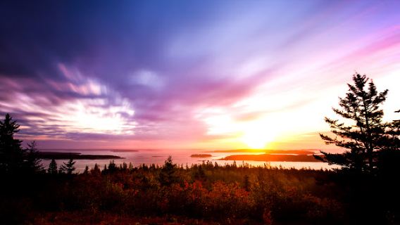 Maine Coastal Islands National Wildlife Refuge