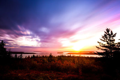 Maine Coastal Islands National Wildlife Refuge