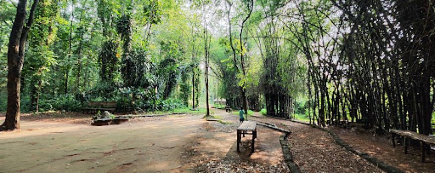 Kodanad Wild Life Sanctuary