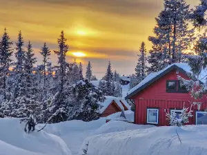 Sjusjoen cross country arena