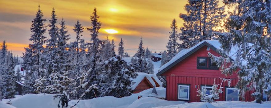 Sjusjoen cross country arena