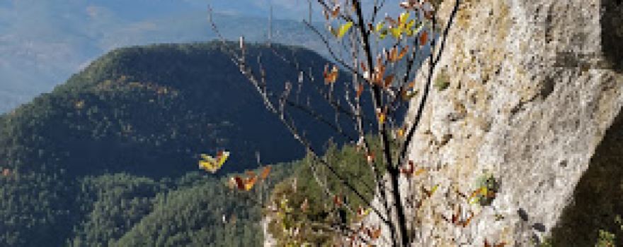 Font del Prestill