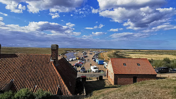 Blakeney Point Seals