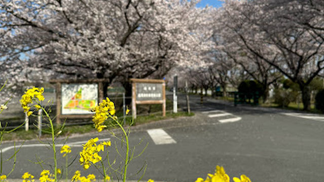 Fujioka Watarase Sports Park