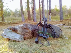 Williams Hunting