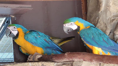 ZOO Stropkov