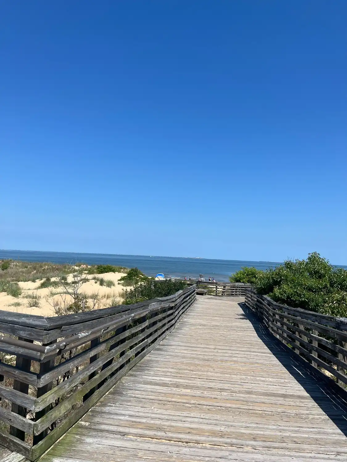 Hotels near First Landing State Park