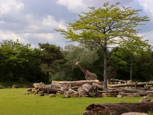 Zoo di Lipsia