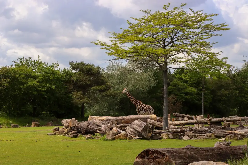5_ライプチヒ動物園